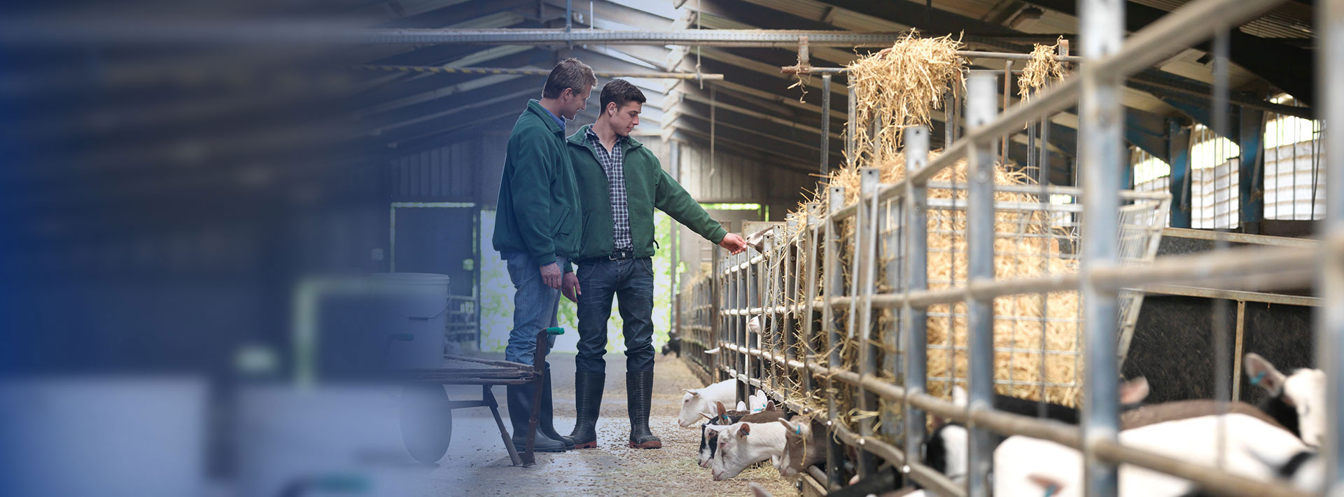 NIR Analyzers for the feed industry