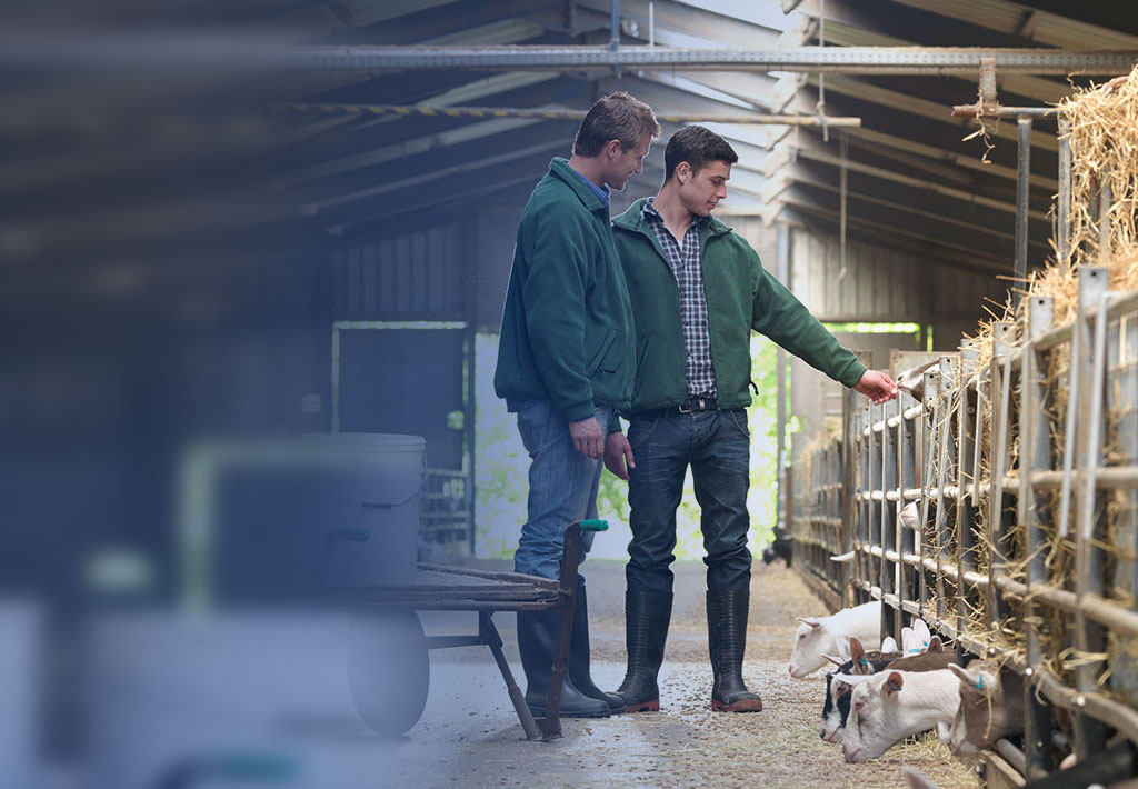 NIR Analyzers for the feed industry