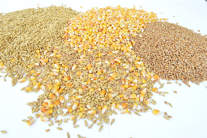 Grain Industry