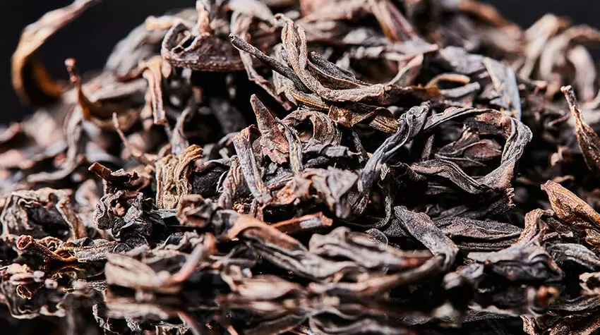 From Leaves to Products: Full Process Monitoring of Tobacco NIR Analyzer